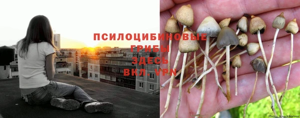 марихуана Алзамай