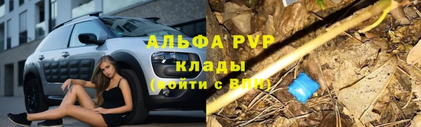 скорость Дубна