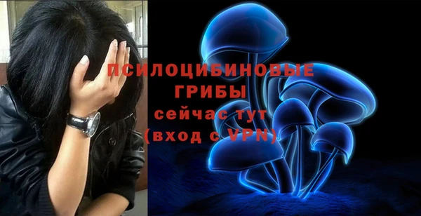 скорость Дубна