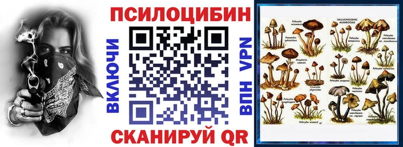 Галлюциногенные грибы MAGIC MUSHROOMS Камешково